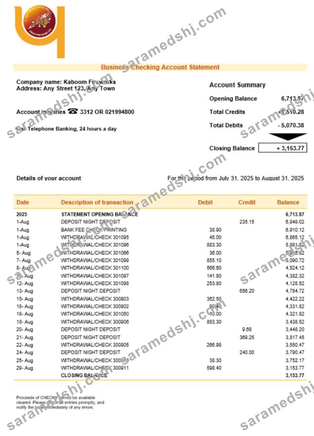 Druk PNB bank firm account statement Word and PDF template